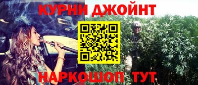 гашик Гусев
