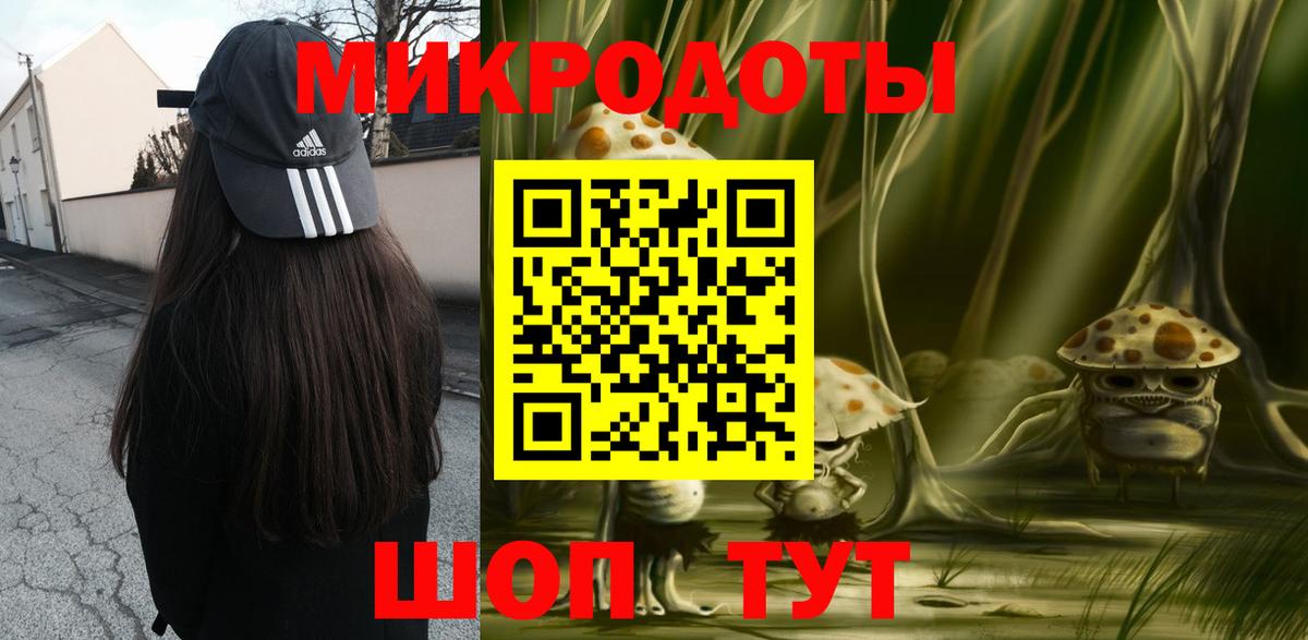 Галлюциногенные грибы Psilocybe  Галлюциногенные грибы прущие грибы  Вход с VPN  Малгобек 